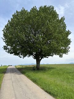 Foto von Kai Erdmann entlang der Tour