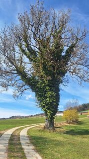 Foto von erwinso entlang der Tour