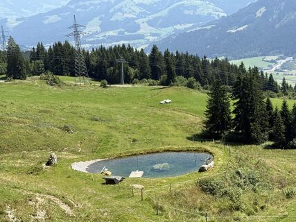 Foto von Willy 11 entlang der Tour