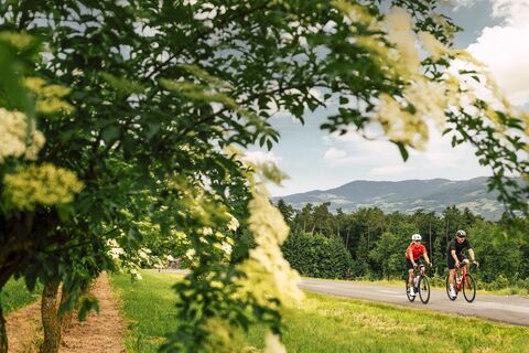 Rennrad (c) bernhard bergmann