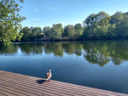 Steg am Ruhrufer