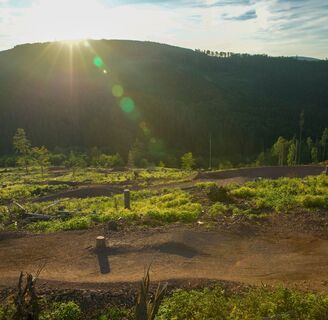 Trailpark Ilmenau