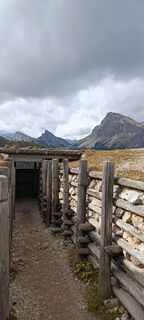 Photo de Enrico T le long du parcours
