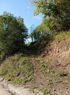 Foto de Eljazovic Miralem a lo largo del recorrido