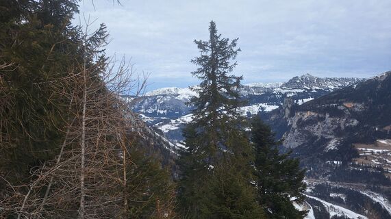 Foto von Regina Fleischmann entlang der Tour