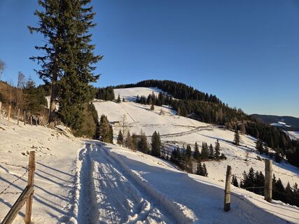 Foto von Zahrni78 entlang der Tour