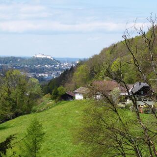 Blick auf die Festung Hohensalzburg. Rechts der Archstein Hof, an dem der alte Weg nach St. Jakob vorbeiführte.