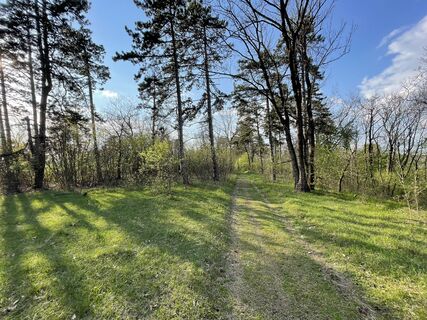 Fotó a Levente Tóth 1 honlapról a túra során