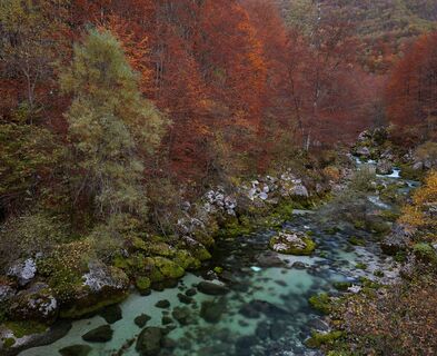 Herbstfarben auf dem Rio Barman