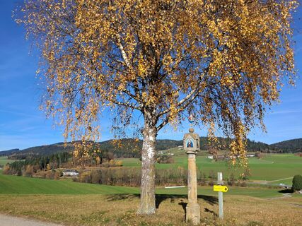 Photo de Josef Humer le long du parcours