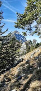 Foto von Bergnutria entlang der Tour