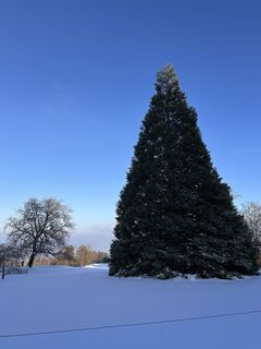Fotografija s spletne strani Cyrill Bischof na poti