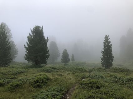 Fotografia z Robert Hofbauer 1 na trase