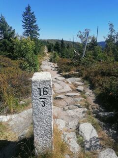 Fotografie z Iveeek na trase