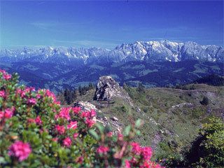 Rauchkögerl