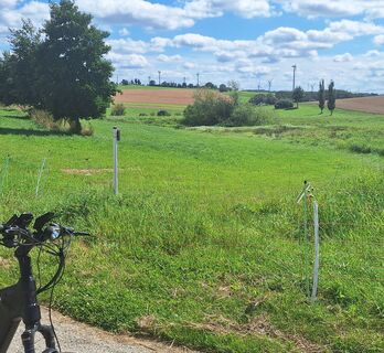 Radweg zwischen Emmelshausen und Dörth