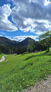 Fotografie z Aga M na trase