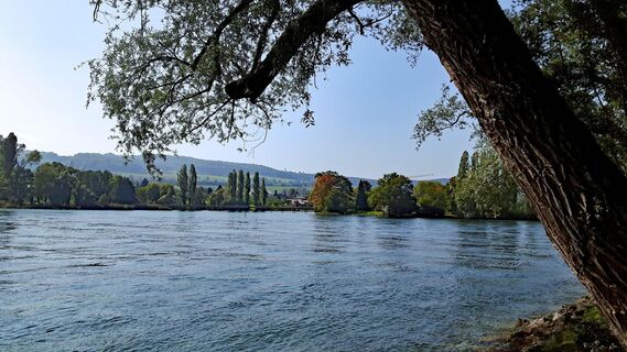 Blick auf die Insel Werd