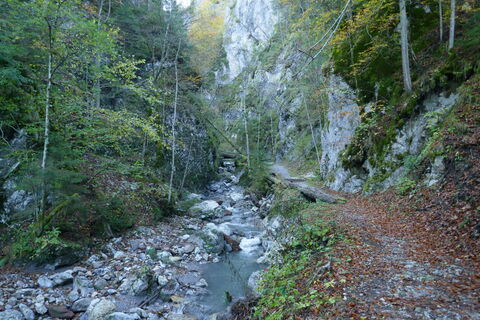 die Klamm ist ohne Probleme auch für Kinder machbar