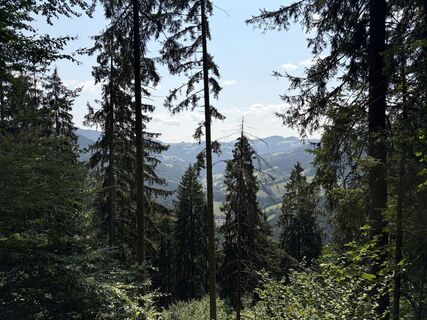 Foto von Bernhard Koller entlang der Tour