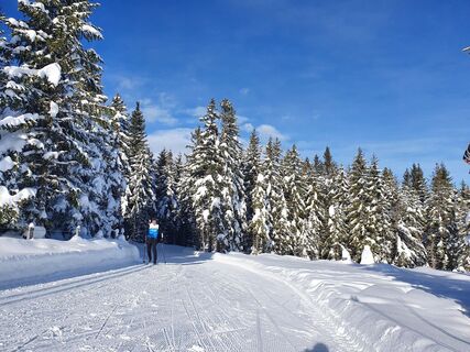 Langlaufen Hebalm (c) Langlaufzentrum Hebalm - MarioPenanso (3).jpg