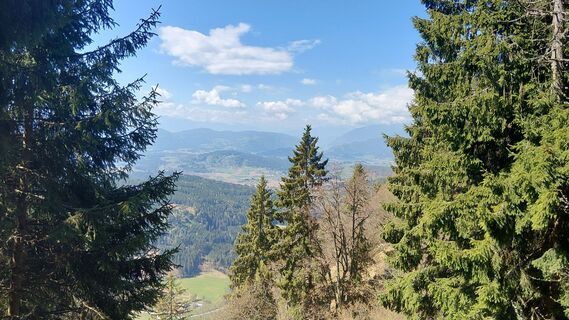 Fotografija s spletne strani Ellsi na poti