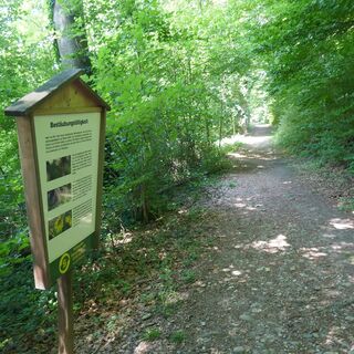 Weg - Bienenlehrpfad Mühledorf