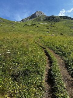 Foto von Maximilian Schranz entlang der Tour