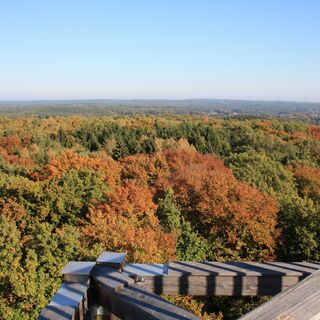 Ausblick vom Aussichtsturm auf dem Hohen Mechtin