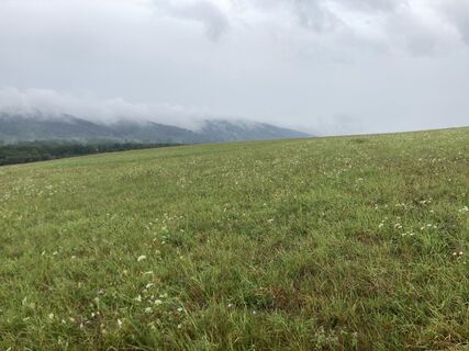 Fotografija s spletne strani Hajni Obernyik na poti