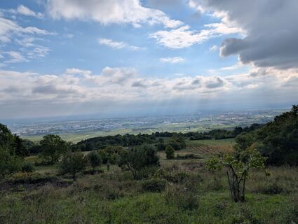 Photo de HOJ_09 le long du parcours