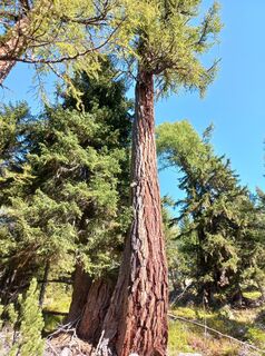 Foto von Christa Grailach entlang der Tour
