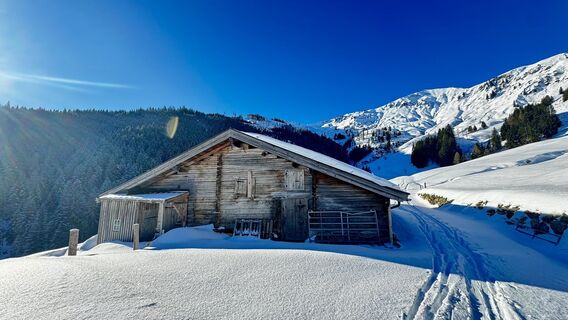 Foto från Manfred Karl under resans gång