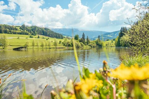 Badesee Mühlen