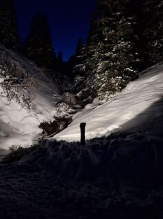 Foto från Dagmar Hofer under resans gång