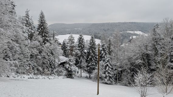 Foto de Rainer Jochmann a lo largo del recorrido