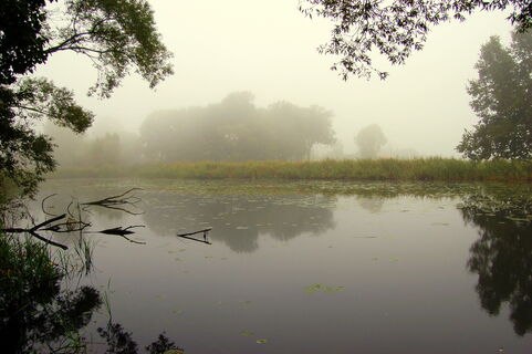 Sumter See im Nebel
