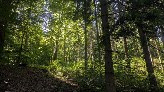 Foto von Django Bosch entlang der Tour