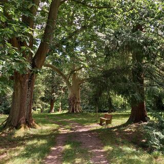 Das Windeck-Gebiet - Ottrott