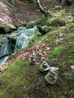 Fotografie z Dagmar Hofer na trase