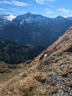 Kuva osoitteesta Malofe matkan varrella