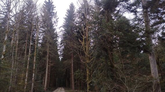 Fotografia z lkusmir na trase