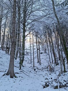 Photo de Sommeregger Hans le long du parcours