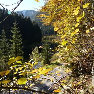 Stausee