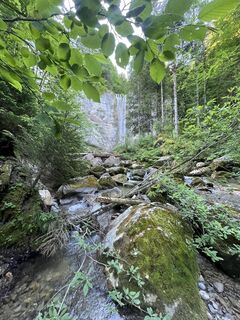 Foto von Senar Misini entlang der Tour