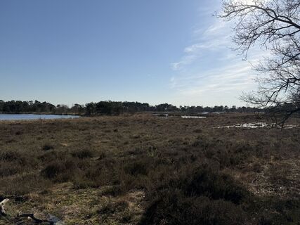 Fotografija s spletne strani !SV na poti