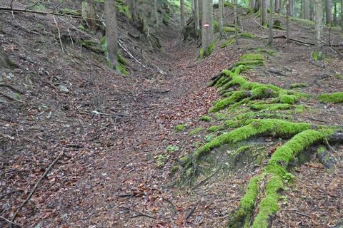 Hochschlag, Ebenschlag und Aibel