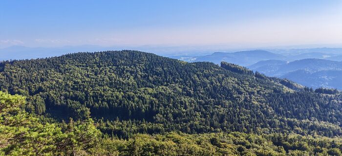 Fotografia z ReginaSt na trase