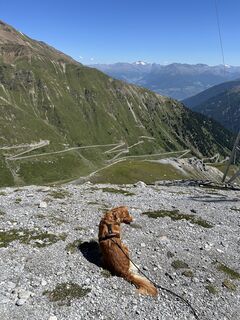 Foto de kristof vanhees a lo largo del recorrido