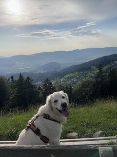 Foto von Bene Schadel entlang der Tour